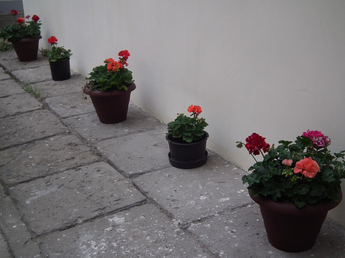 Apartament Bbb48 Cluj-Napoca Ngoại thất bức ảnh